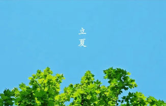 立夏時節：一樽開首夏，獨對落花飛